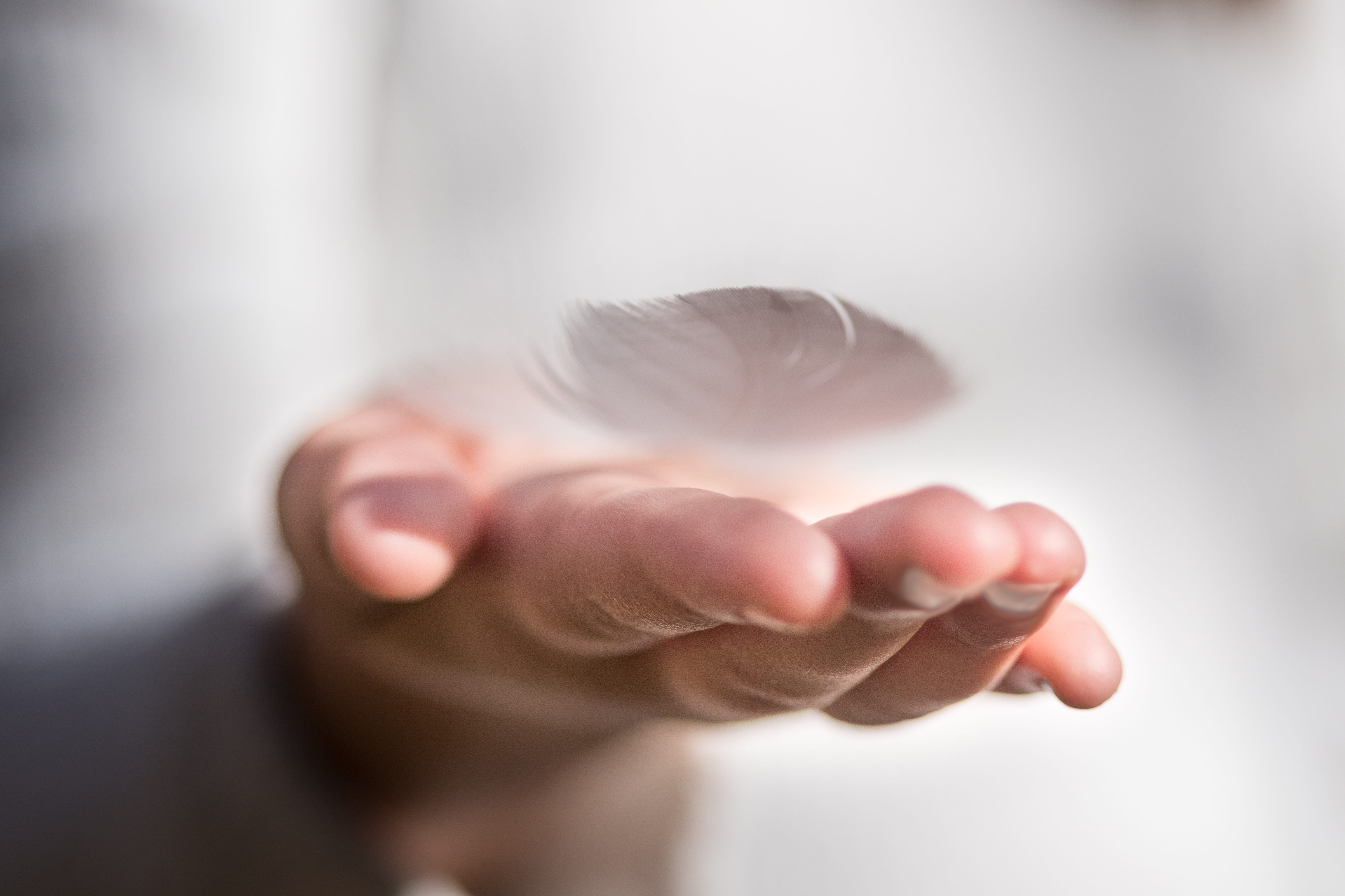 Eine flach ausgestreckte Hand mit einer Feder auf der Handinnenfläche zum Impuls für den Beginn der Fastenzeit in den Einrichtungen der Immanuel Albertinen Diakonie 